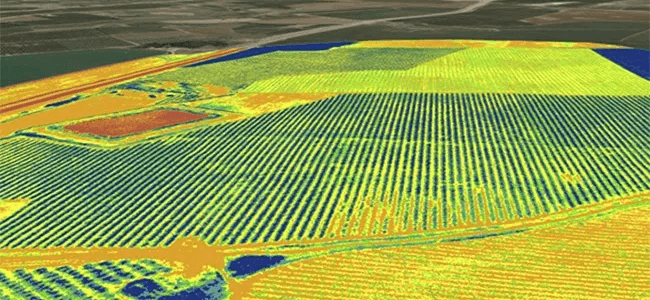 Mapa de NDVI del lote con escala de color.