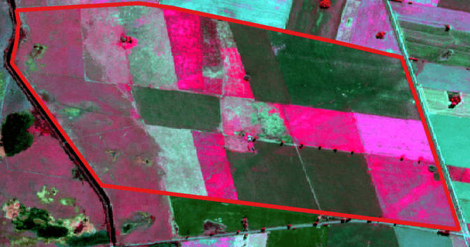 Imagen Sentinel-2 en falso color recortada al lote.